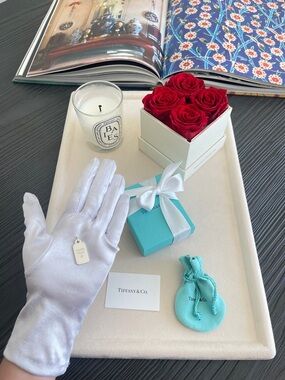 Tiffany & Co. Dog Tag  Diamond Charm in Silver NEW